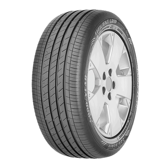 Lốp Goodyear 205/50R17 EFFICIENTGRIP PERF